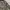 STANDAR N GRID CAMOUFLAGE JUMPER HOODIE photo 3