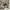 STANDAR N GRID CAMOUFLAGE JUMPER HOODIE photo 2