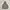 STANDAR N GRID CAMOUFLAGE JUMPER HOODIE photo 1