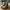 Rick Owens DRKSHDW Ramones Nylon Grey White Sneakers photo 1