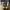 Rick Owens DRKSHDW Ramones Nylon Grey White Sneakers photo 2