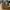 Rick Owens DRKSHDW Ramones Nylon Grey White Sneakers photo 3