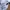 Puma Windbreaker Track Sportswear Checks Jacket photo 5