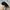 KANGOL FLAT CAP photo 3
