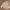 Kirsh Windbreaker Track Sports Nylon Jacket Beige photo 2