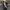 KANGOL FLAT CAP THE WOOL 504 photo 4