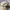 KANGOL FLAT CAP THE WOOL 504 photo 2