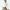 Uniqlo White Cotton Blouse Button Up Shirt Kemeja Putih photo 1