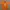 Russell Athletic Team Issue Tennessee Volunteers photo 1
