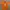 Russell Athletic Team Issue Tennessee Volunteers