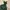 Zara Satin Emerald Green Side Slit Evening Prom Dress Atonem photo 6