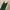 Zara Satin Emerald Green Side Slit Evening Prom Dress Atonem photo 3