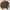 Vintage Phuture London Brown Leopard Fur Collared Crop Zip U photo 2