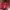 BECKHAM JERSEY AC MILAN 2009/2010 photo 6