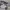 STARWARS FULLTAPPED photo 5