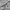 STARWARS FULLTAPPED photo 4