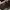 Asics  Gel-1090v2 Steeple Grey/Jasper Green Second Original  photo 4