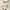 white & brown knit top long sleeve baju rajut photo 4