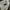 Jimmy Choo Suede Leather Shoulder Bag photo 5