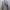 purple crop outer  photo 1