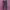 Long pants gramicci x indigo photo 1