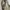 BROOKS BROTHER BOXY LINEN BLOUSON JACKET photo 8
