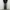 PARKLAND  WOLL WORK JACKET photo 8