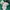 Adidas spezial green Handball Spezial cw Blackburn photo 5