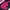 Crop Pink Fanta