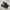 Vans Authentic Classic Full Black Original photo 1