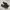 Vans Authentic Classic Full Black Original