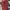 Luxury Casual Handbag Wanita burgundy photo 3