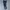 Adidas trackpant parachute  photo 2