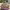 Casual Flat Wanita tan photo 1
