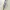 Vintage 50-60s Archdale Permanent Press Work Jacket  photo 4