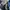 Louis Vuitton Luxury Jeans Pria blue photo 6