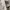 Zara graffiti streetwear denim jeans shirt casual photo 6