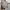 Zara graffiti streetwear denim jeans shirt casual photo 1