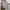 Zara Graffiti Streetwear Denim Jeans Shirt Casual