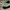New Balance FuelCell SuperComp Trainer photo 2