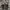 Dr martens crazy horse 1461 photo 5