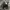Dr martens crazy horse 1461 photo 1