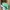 puma palermo vintage green gum photo 1