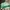 puma palermo vintage green gum photo 3