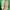 Stradivarius Army Green Shoes 38 photo 3