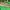 Stradivarius Army Green Shoes 38 photo 6