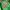 Stradivarius Army Green Shoes 38 photo 2