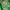Stradivarius Army Green Shoes 38