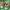 Stradivarius Army Green Shoes 38 photo 7