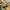 Stradivarius Army Green Shoes 38 photo 4